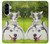 S3795 Peinture Husky Sibérien Ludique Chaton Grincheux Etui Coque Housse pour Samsung Galaxy A56