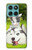 S3795 Peinture Husky Sibérien Ludique Chaton Grincheux Etui Coque Housse pour Motorola Edge 60 Fusion
