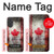 S2490 Canada Feuille d'érable Drapeau Texture Etui Coque Housse pour iPhone 17
