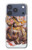 S2820 Dieu hindou Ganesha Ganapati Vinayaka Etui Coque Housse pour iPhone 17 Pro