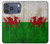 S2976 Pays de Galles Football Football Drapeau Etui Coque Housse pour iPhone 17 Pro, 18 Pro