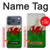 S2976 Pays de Galles Football Football Drapeau Etui Coque Housse pour iPhone 17 Pro