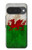 S2976 Pays de Galles Football Football Drapeau Etui Coque Housse pour Google Pixel 10, 10 Pro