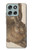 S3781 Albrecht Durer Young Hare Etui Coque Housse pour Motorola Moto G56 S3781 Albrecht Durer Young Hare Etui Coque Housse pour Motorola Moto G56