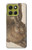 S3781 Albrecht Durer Young Hare Etui Coque Housse pour Motorola Moto G86 S3781 Albrecht Durer Young Hare Etui Coque Housse pour Motorola Moto G86