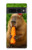 S4068 Papillon capybara Etui Coque Housse pour Google Pixel 7 Pro
