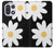 S2315 Fleurs de marguerite blanche Etui Coque Housse pour OnePlus 15