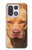S2903 Chien américain Pitbull Etui Coque Housse pour OnePlus 15
