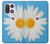 S3043 Coccinelle Daisy millésimé Etui Coque Housse pour OnePlus 15