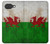 S2976 Pays de Galles Football Football Drapeau Etui Coque Housse pour Google Pixel 10a