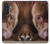 S0519 PitBull Visage Etui Coque Housse pour Samsung Galaxy A27