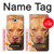 S2903 Chien américain Pitbull Etui Coque Housse pour Samsung Galaxy A5 (2017)