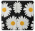 S2477 Daisy flower Etui Coque Housse pour Samsung Galaxy A5 (2017)