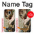 S0179 Michel-Ange Création d'Adam Etui Coque Housse pour Samsung Galaxy J3 (2018), J3 Star, J3 V 3rd Gen, J3 Orbit, J3 Achieve, Express Prime 3, Amp Prime 3