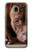 S0519 PitBull Face Etui Coque Housse pour Samsung Galaxy J3 (2018), J3 Star, J3 V 3rd Gen, J3 Orbit, J3 Achieve, Express Prime 3, Amp Prime 3