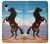 S0934 Wild Black Horse Etui Coque Housse pour iPhone XR