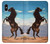 S0934 Wild Black Horse Etui Coque Housse pour iPhone X, iPhone XS