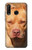 S2903 American Pitbull Dog Etui Coque Housse pour Huawei P30 lite