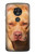 S2903 American Pitbull Dog Etui Coque Housse pour Motorola Moto G7 Play