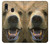 S0840 Grizzly Bear visage Etui Coque Housse pour Samsung Galaxy A20, Galaxy A30