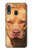 S2903 Chien américain Pitbull Etui Coque Housse pour Samsung Galaxy A20e