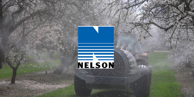 Nelson