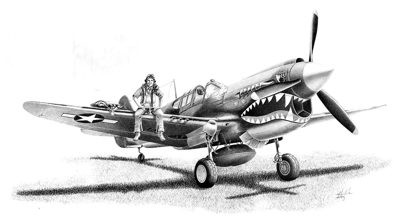 p40 warhawk art