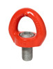 Swivel Eye Bolt