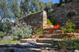 What Should Be Included in Landscaping Invoices