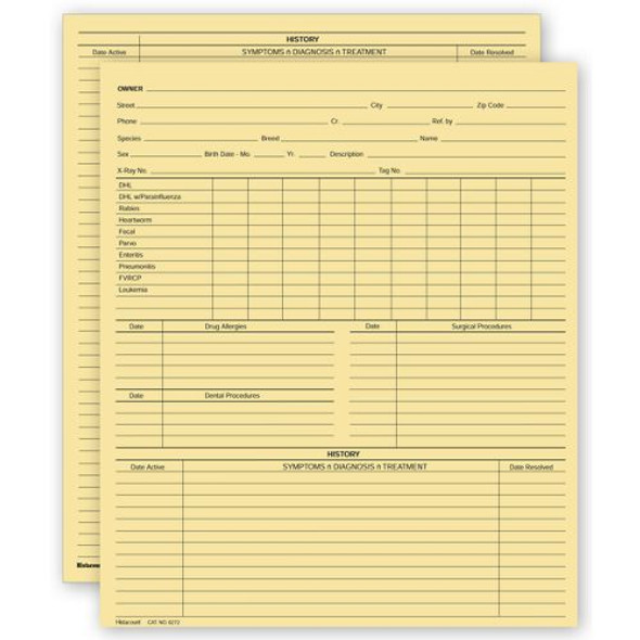 Vet Animal History Exam Record, 2 Sided, Card File Fold