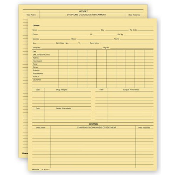 Vet Animal History Exam Record, 2 Sided, Letter Size