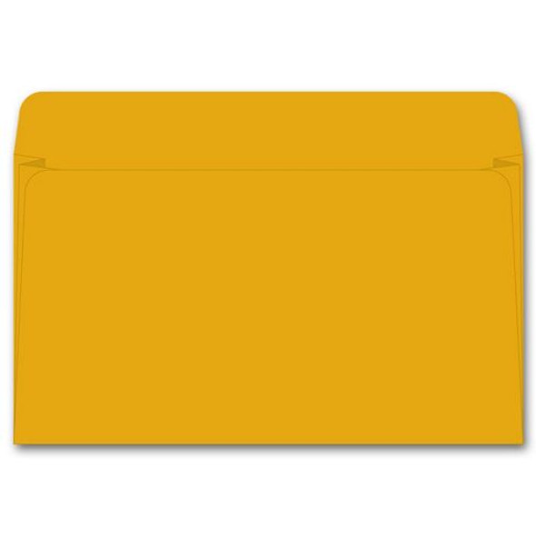 Card File Expansion Envelope, 40 lb Kraft