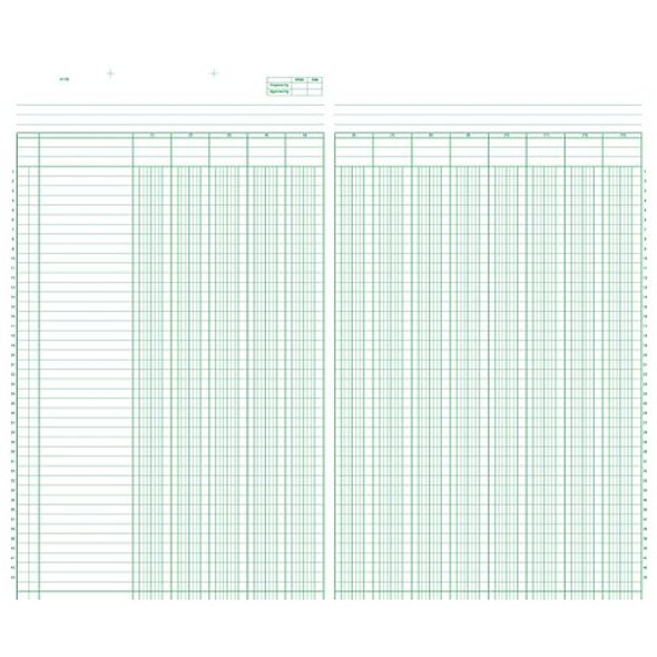 Buff Columnar Work Sheets-13 Columns