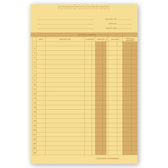 Accounts Receivable Ledgers