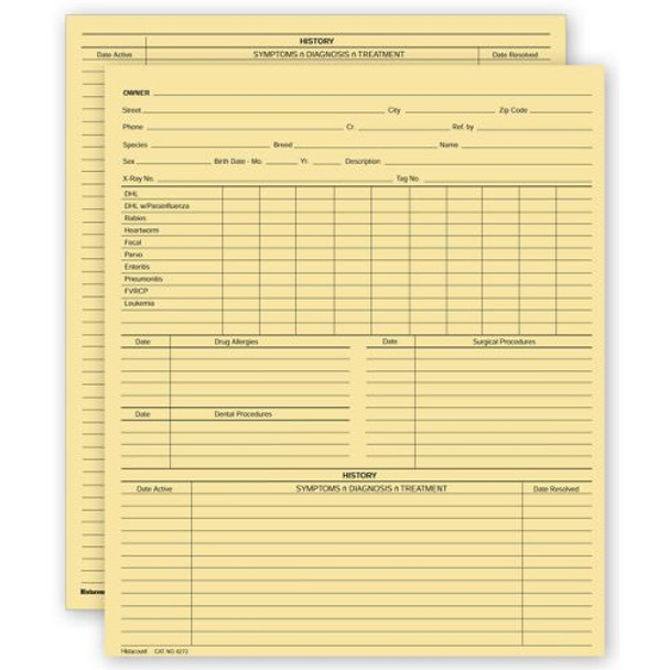 Vet Animal History Exam Record, 2 Sided, Card File Fold