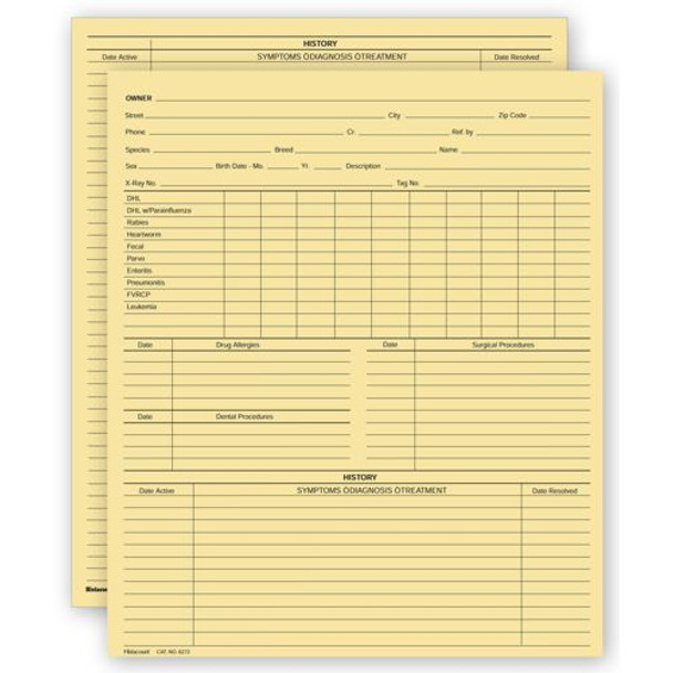 Vet Animal History Exam Record, 2 Sided, Letter Size