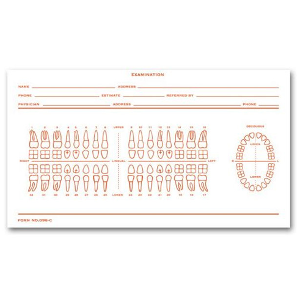 Dental Exam Record Slips, Numbered Teeth System C Dental Exam Record Slips, Numbered Teeth System C