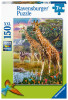 RAVENSBURGER PUZZLES 150XXL PIECES - GIRAFFES IN AFRICA