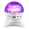 BLUETOOTH RECHARGABLE WIRELESS MUSIC SPEAKER WITH LED  LIGHT SHOW (PINK)