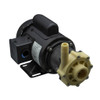 March Pumps - TE-5K-MD 1Ph 1/5HP Weg  Magnetic Drive Pump - 0150-0214-0200