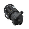 March Pumps - 809-PL-C 115V Magnetic Drive Pump - 0809-0064-0500