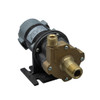 March Pumps - 809-BR-C 12V DC Brush Magnetic Drive Pump - 0809-0065-0500