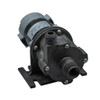 March Pumps - 809-PL-C 12V DC Brush Magnetic Drive Pump - 0809-0190-0100