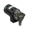 March Pumps - 815-SS 115V Magnetic Drive Pump - 0809-0215-0900