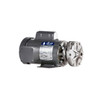 Price Pump Price Horizontal & Vertical Centrifugal Pumps