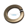 Yamada Pumps Yamada Pump Part - SPRING WASHER 50 M14 ZINC - PN 631423