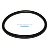 Yamada Pumps Yamada Pump Part - O RING  44.5MM X 3MM  B70 - PN 640134