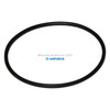 Yamada Pumps Yamada Pump Part - O RING 69MM X 3MM  B70 - PN 640139