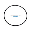 Yamada Pumps Yamada Pump Part - O RING 109.4MM X 3.1MM - PN 640147