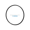 Yamada Pumps Yamada Pump Part - O RING (PERFLUORO) - PN 642144
